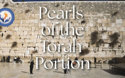 Pearls of the Torah Portion – Choosing Blessing, Rebuilding Jerusalem, and Living Water