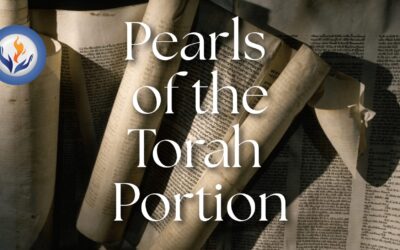 Pearls of the Torah Portion – Compassion, Boundaries, and Remembrance in Times of War