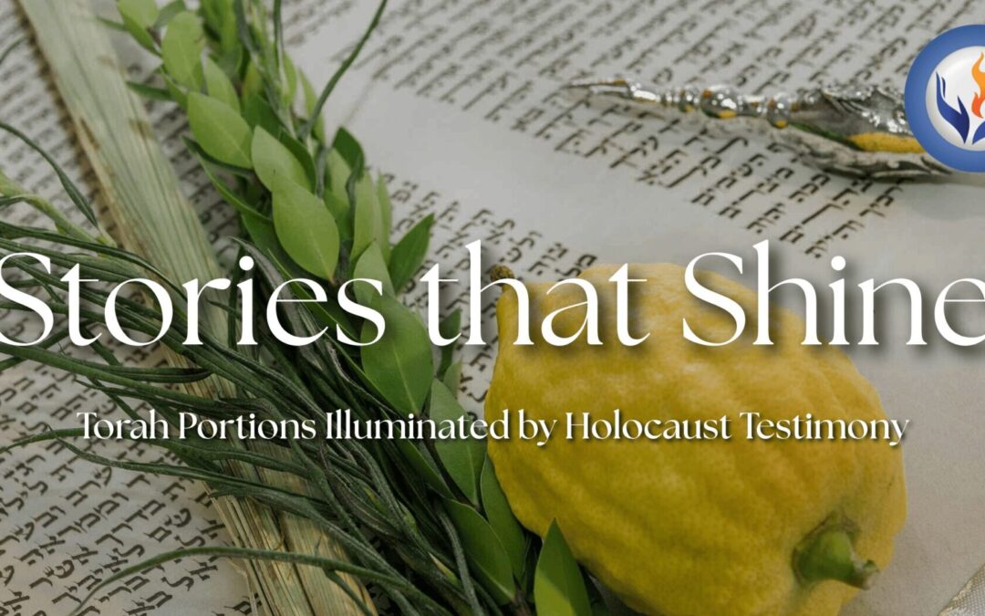 Stories that Shine – Sukkot: Remembering Faith, Fragility, and the Promise of God’s Protection