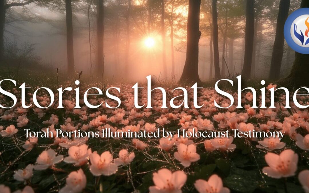 Stories that Shine – From Chaos to Light—Lessons of Creation, the Holocaust, and Renewal