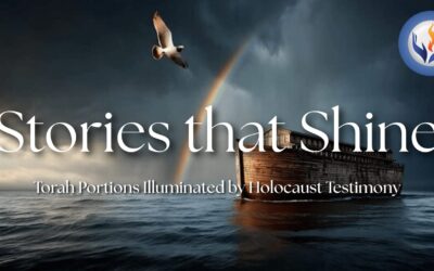 Stories that Shine – Lessons from the Days of Noah and the Righteous Who Chose to Act