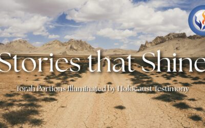 Stories that Shine – The Journey of Faith, Blessing, and Repentance