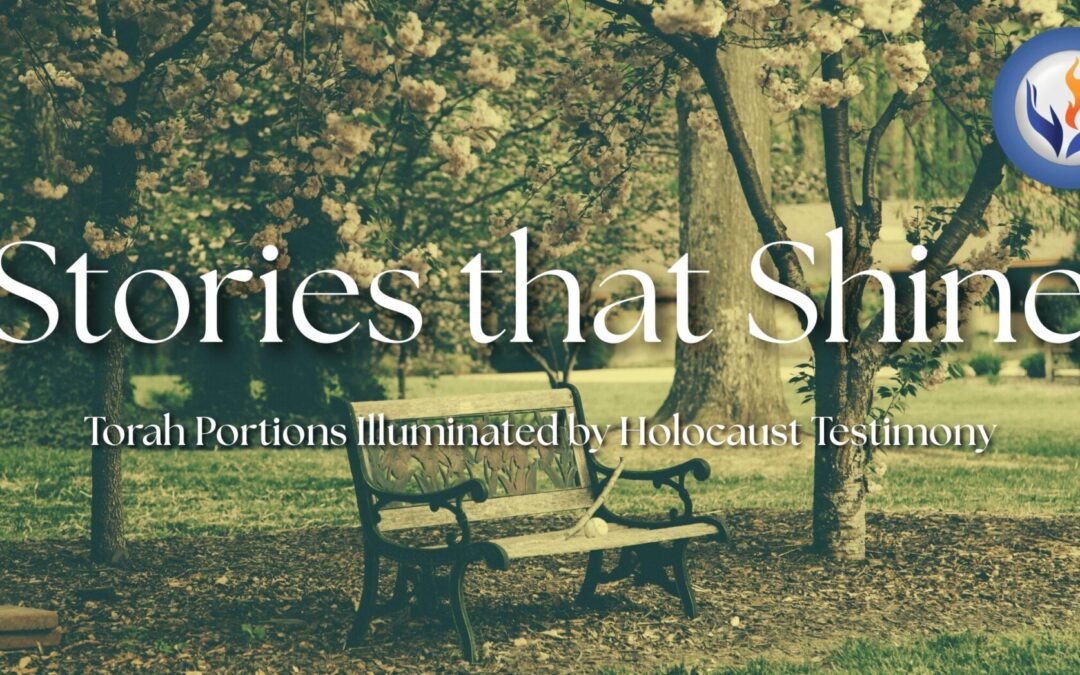 Stories that Shine – Drawing Near to Memory, Healing, and Hope