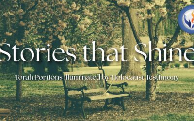 Stories that Shine – Drawing Near to Memory, Healing, and Hope