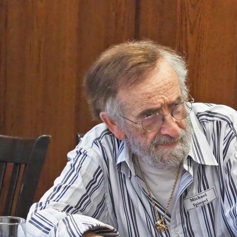 michael spiegel (holo surv)