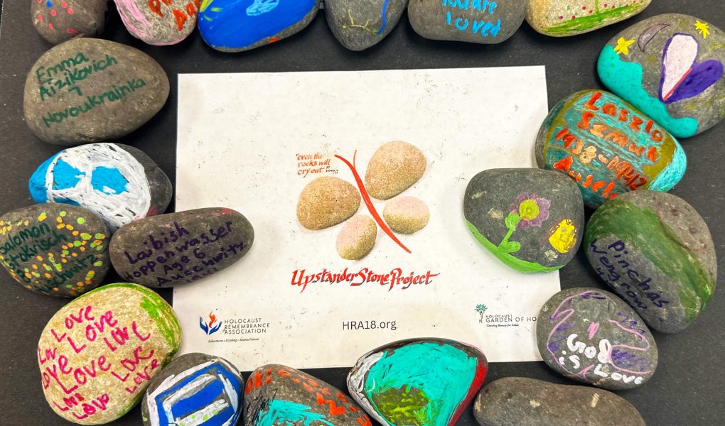 55007110728_06ad6c5a9c_k